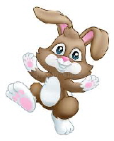 bing brown bunny